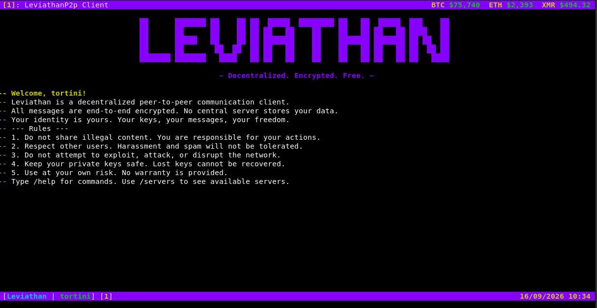 Leviathan client on connect, showing the welcome message and network rules